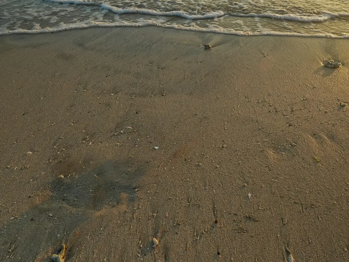 Plastic bottle removed from a beach at sunset